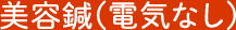 美容鍼(電気なし)