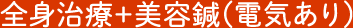 全身治療+美容鍼(電気あり)