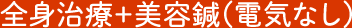 全身治療+美容鍼(電気なし)